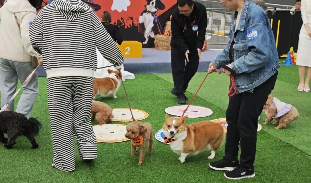 首页|南宫NG28集团相信品牌实力官网