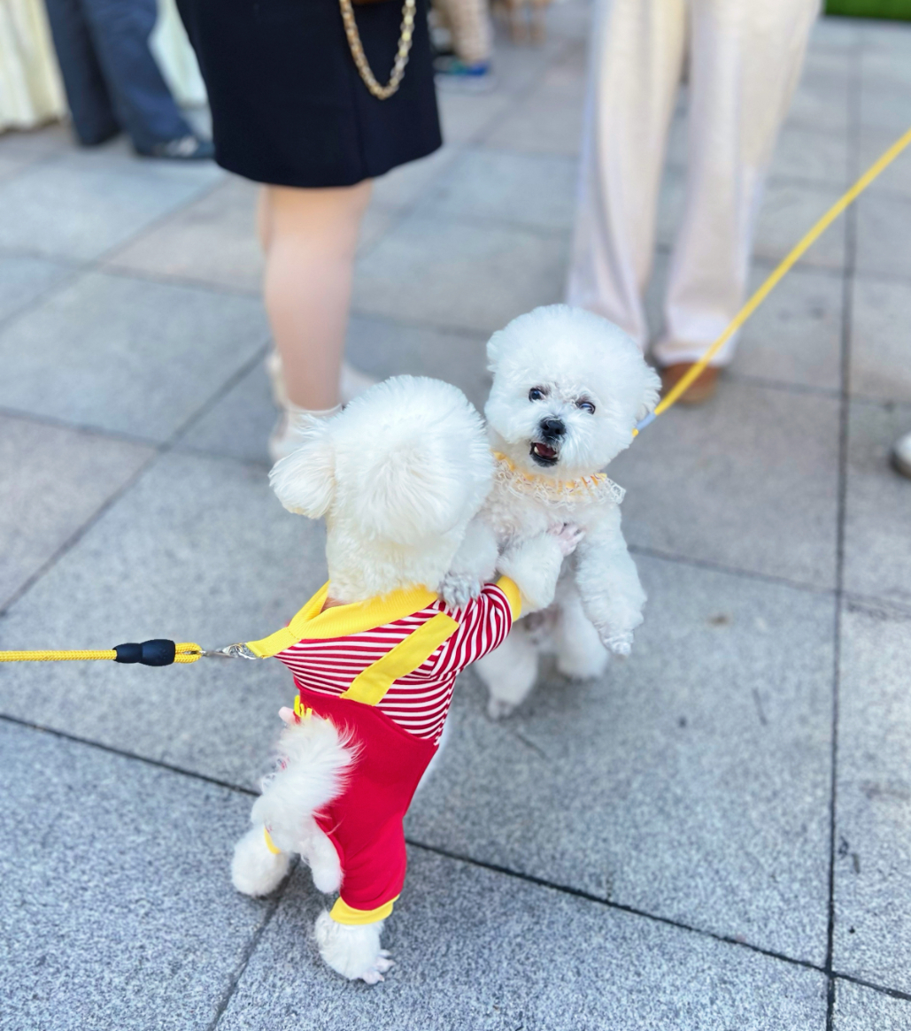 首页|南宫NG28集团相信品牌实力官网