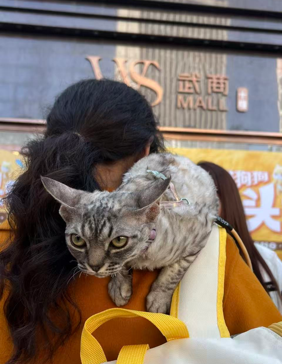 首页|南宫NG28集团相信品牌实力官网